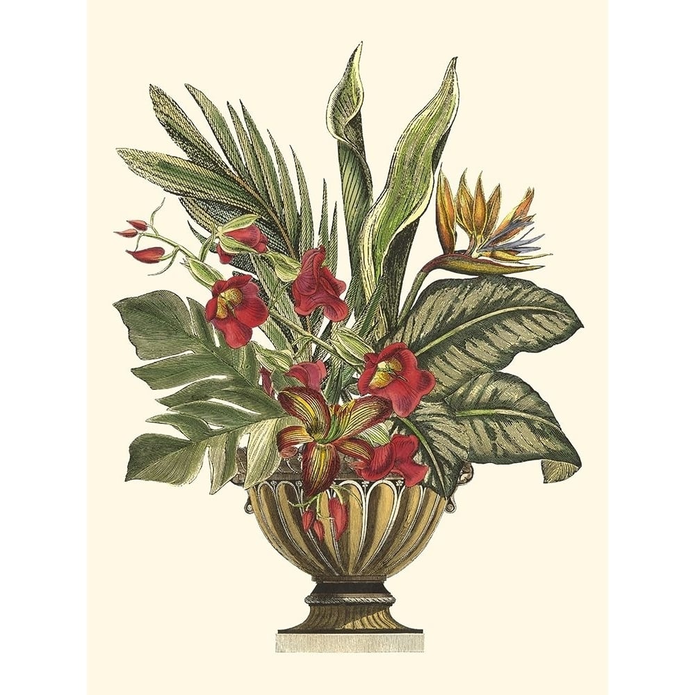 Tropical Foliage in Urn II Poster Print - Studio Vision-VARPDX16127Z Image 1