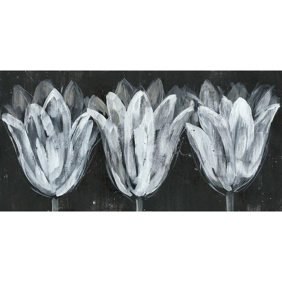 White Trio on Black I Poster Print - Jennifer Goldberger-VARPDX161300Z Image 1