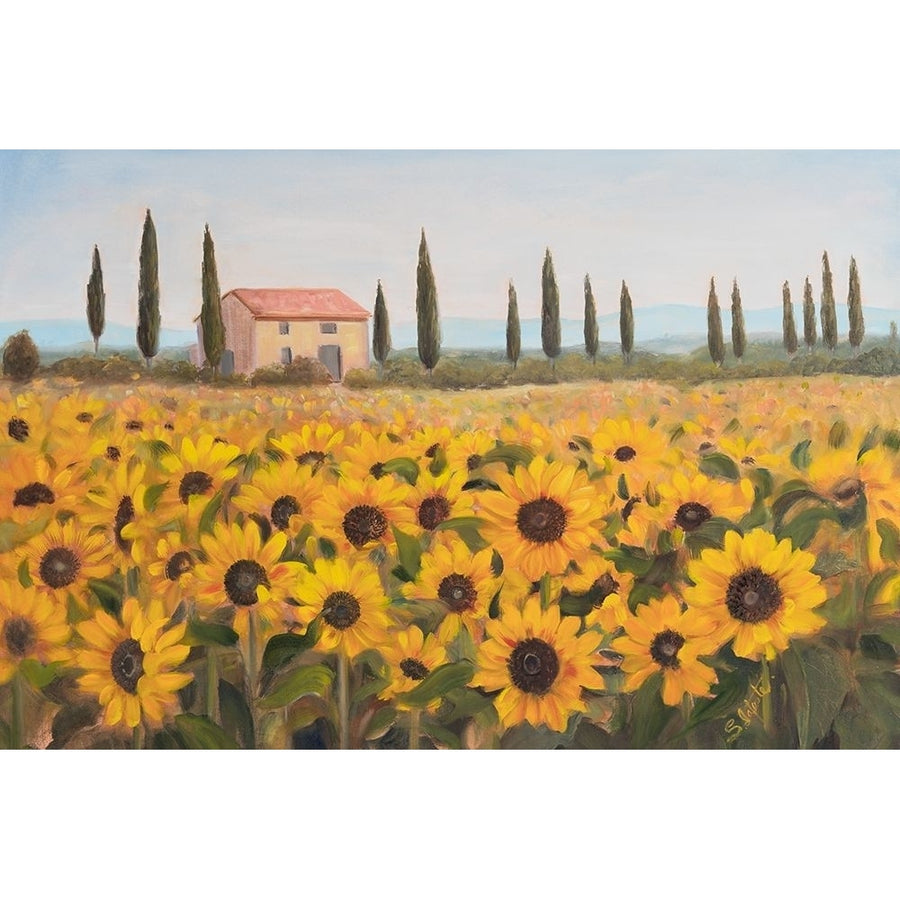 Tuscan Memories I Poster Print - Sandra Iafrate-VARPDX161329Z Image 1