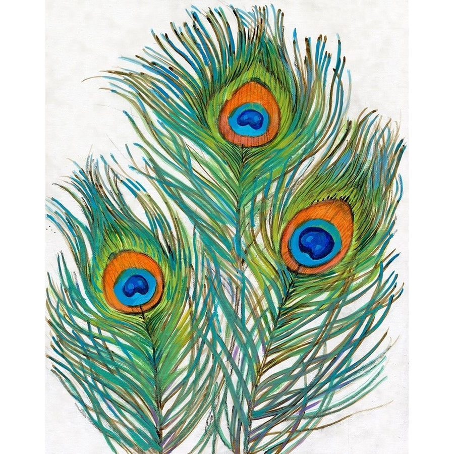 Vivid Peacock Feathers II Poster Print - Tim OToole-VARPDX161675Z Image 1