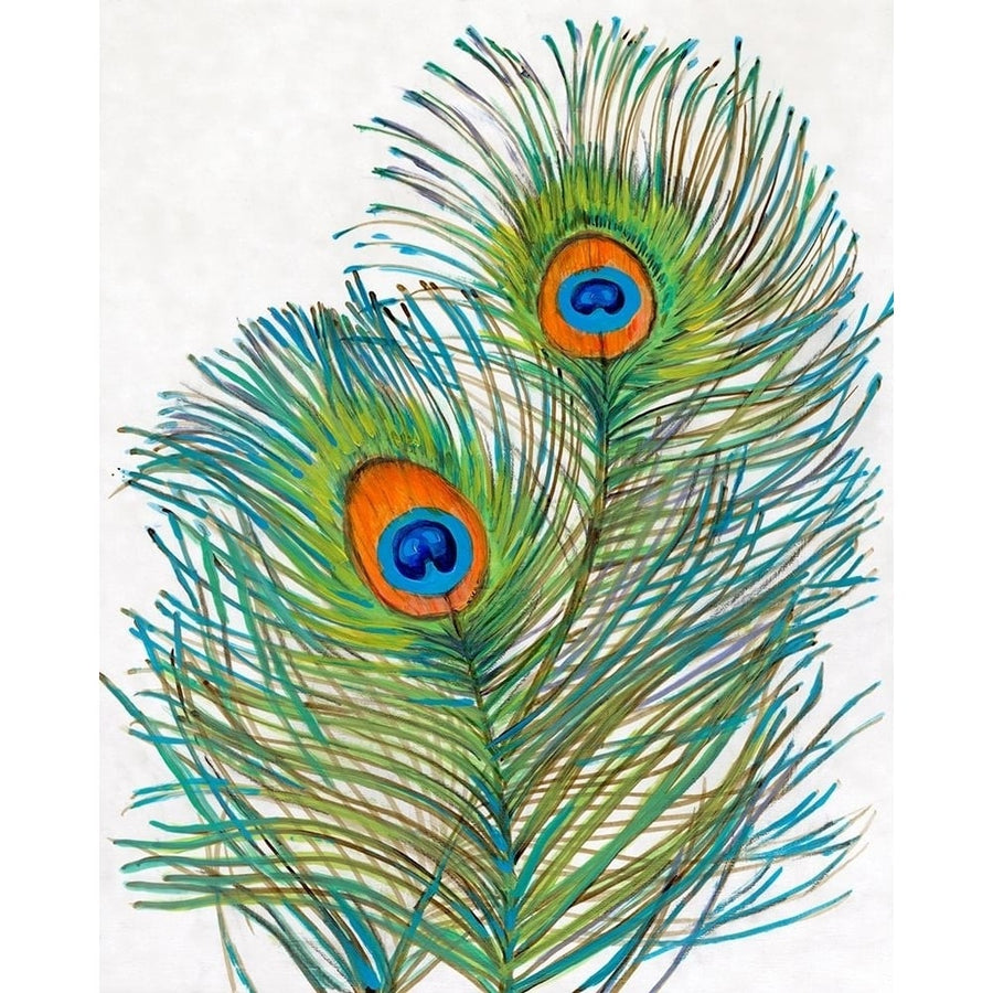 Vivid Peacock Feathers I Poster Print - Tim OToole-VARPDX161674Z Image 1