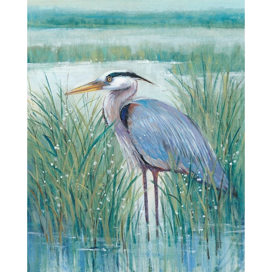 3-UP Wetland Heron II Poster Print - Tim OToole-VARPDX162077D Image 1