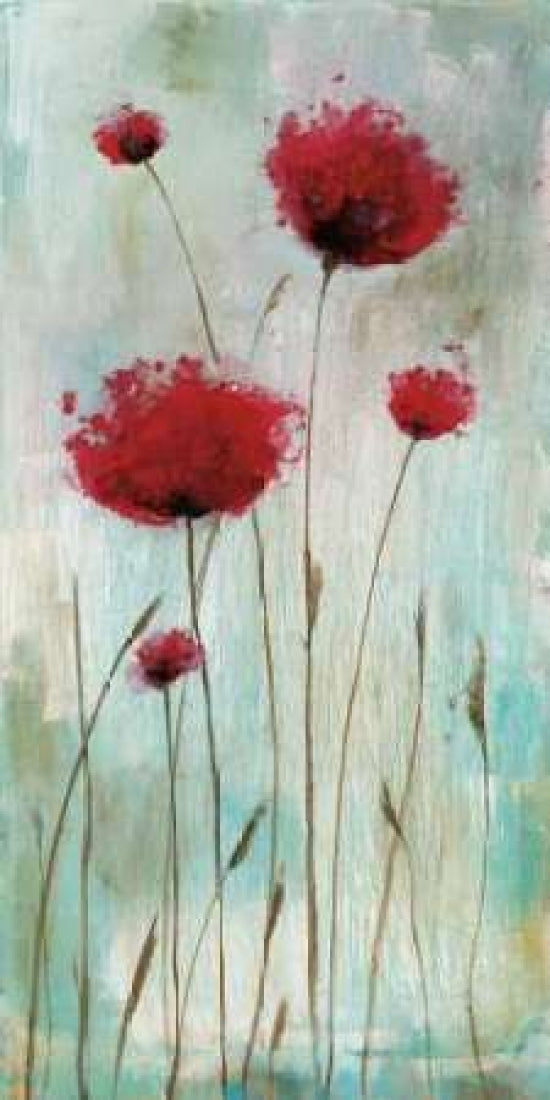 Splash Poppies I Poster Print by Catherine Brink-VARPDX16212 Image 1