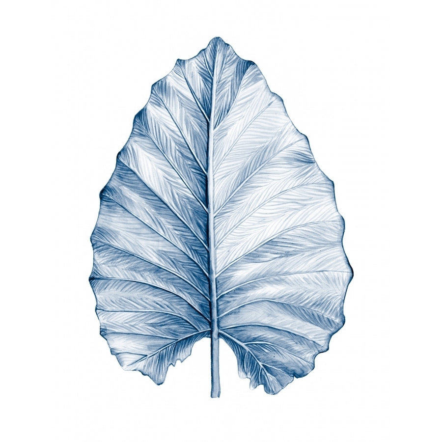 Indigo Tropical Leaves III Poster Print - Megan Meagher-VARPDX162367Z Image 1