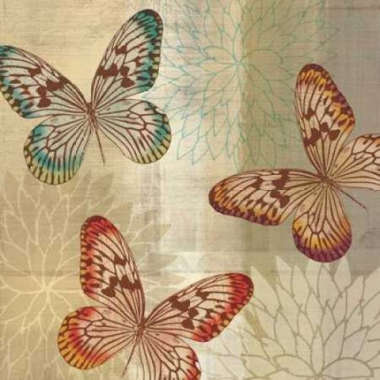 Tropical Butterflies II Poster Print by Tandi Venter-VARPDX16238 Image 1