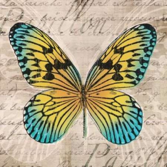 Butterflies I Poster Print by Tandi Venter-VARPDX16248 Image 1