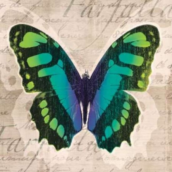 Butterflies II Poster Print by Tandi Venter-VARPDX16249 Image 1