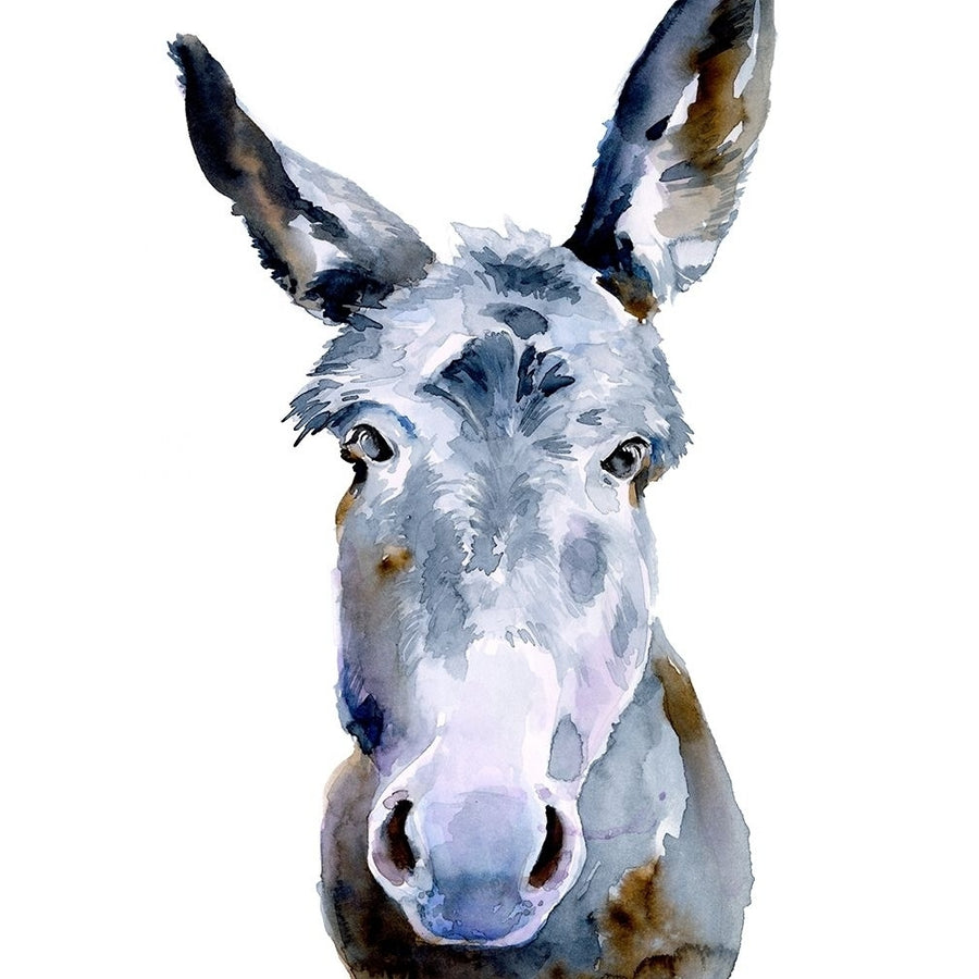 Sweet Donkey II Poster Print - Jennifer Paxton Parker-VARPDX162492Z Image 1