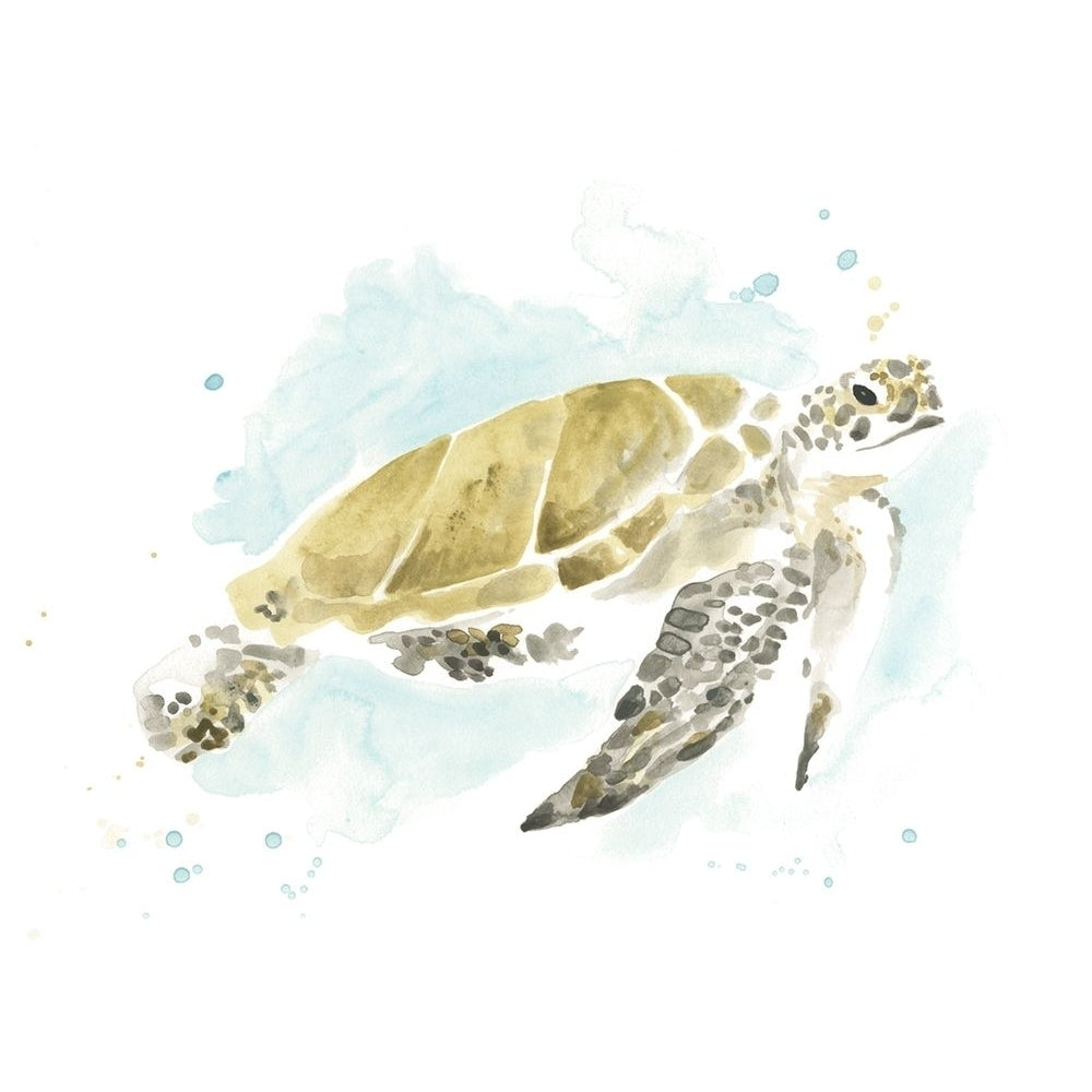 Watercolor Sea Turtle Study I Poster Print - June Erica Vess-VARPDX162569Z Image 1