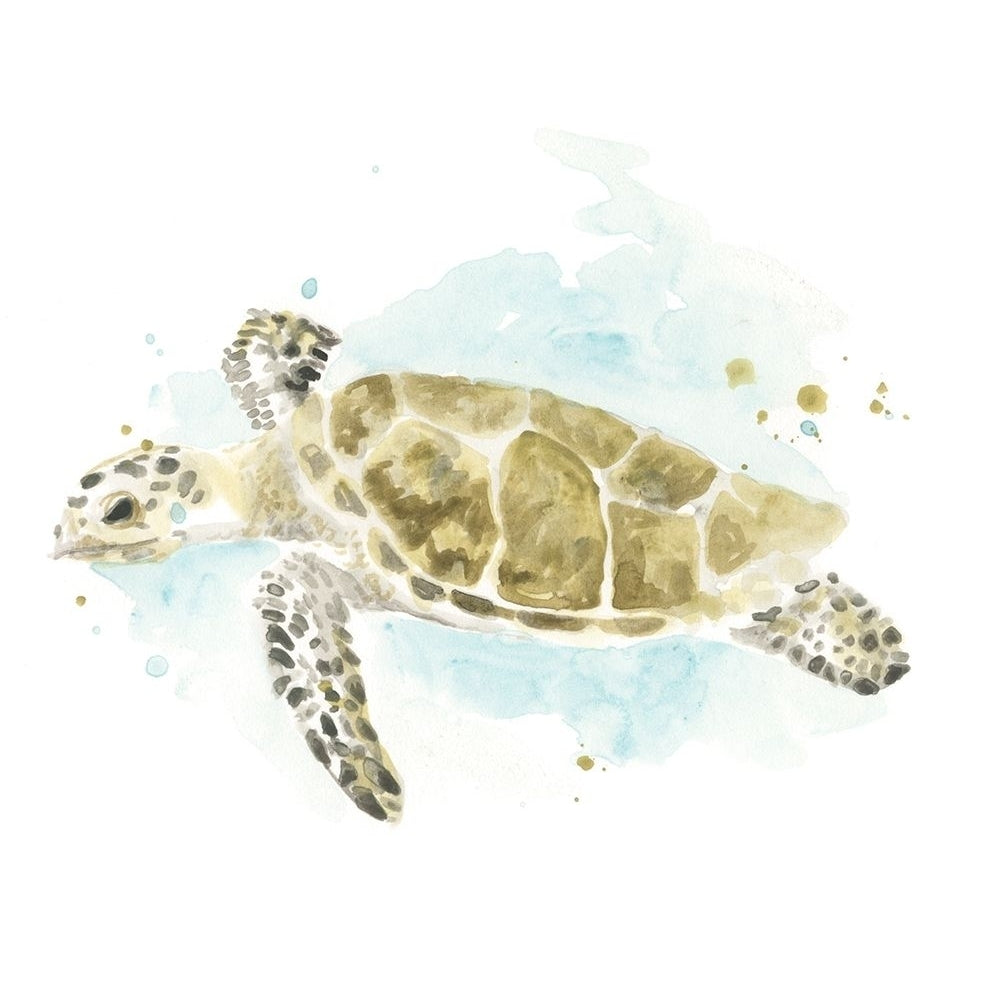 Watercolor Sea Turtle Study II Poster Print - June Erica Vess-VARPDX162570Z Image 1