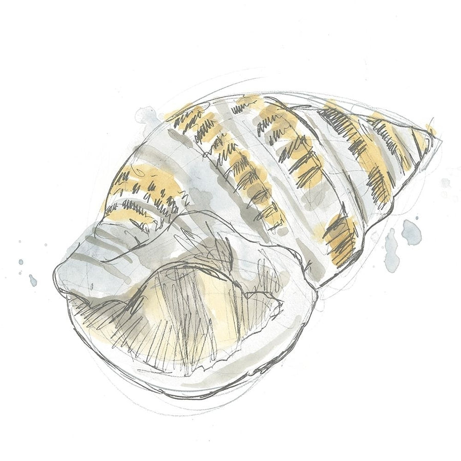 Citron Shell Sketch I Poster Print - June Erica Vess-VARPDX162677D Image 1