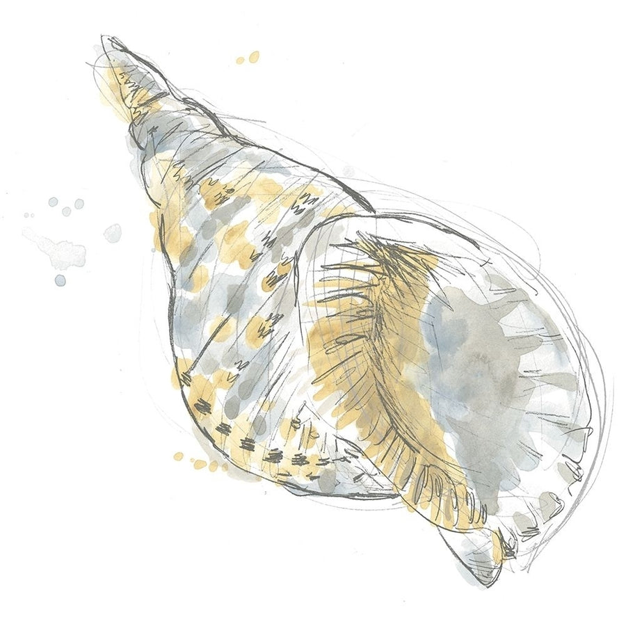 Citron Shell Sketch II Poster Print - June Erica Vess-VARPDX162678D Image 1