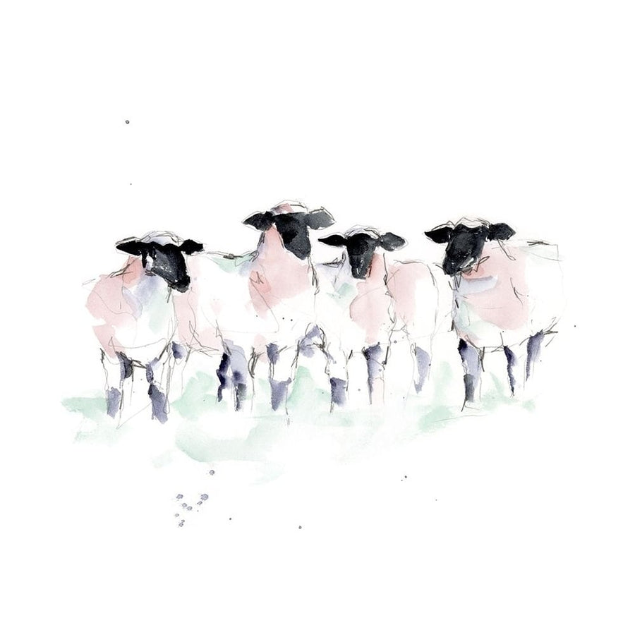 Minimalist Watercolor Sheep II Poster Print - Ethan Harper-VARPDX162713FN Image 1