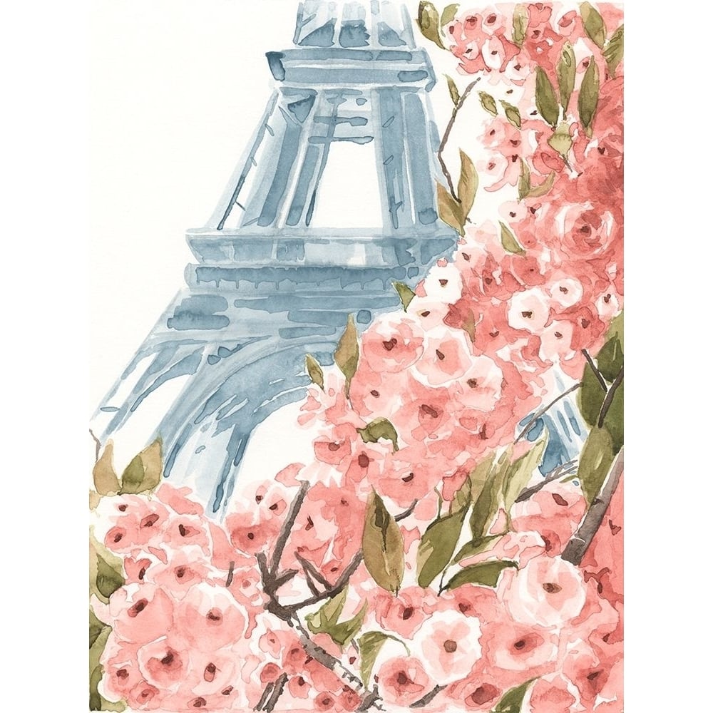 Paris Cherry Blossoms II Poster Print - Annie Warren-VARPDX163096Z Image 1