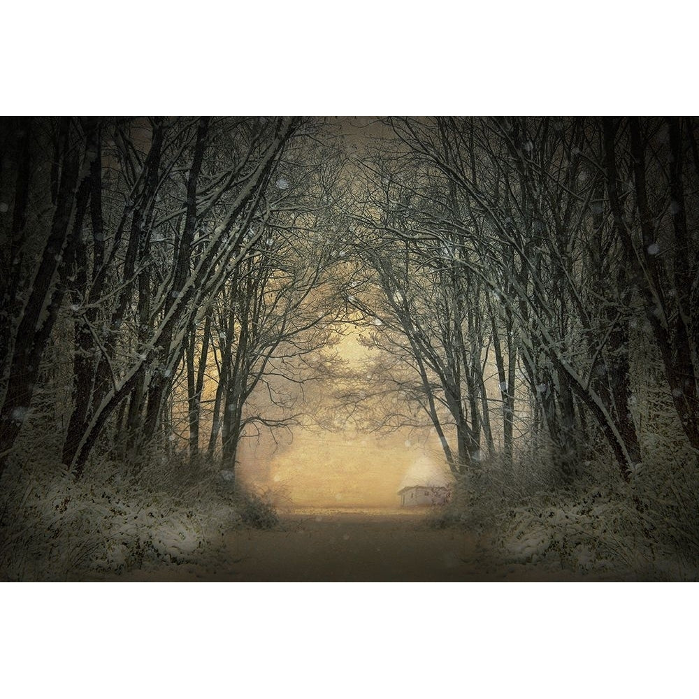 Winter Story Poster Print - Adela Lia-VARPDX1631565 Image 1