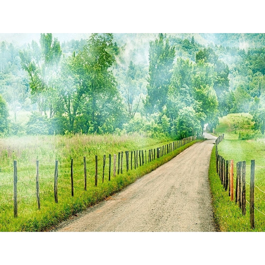 Country Road Photo II Poster Print - James McLoughlin-VARPDX163183Z Image 1