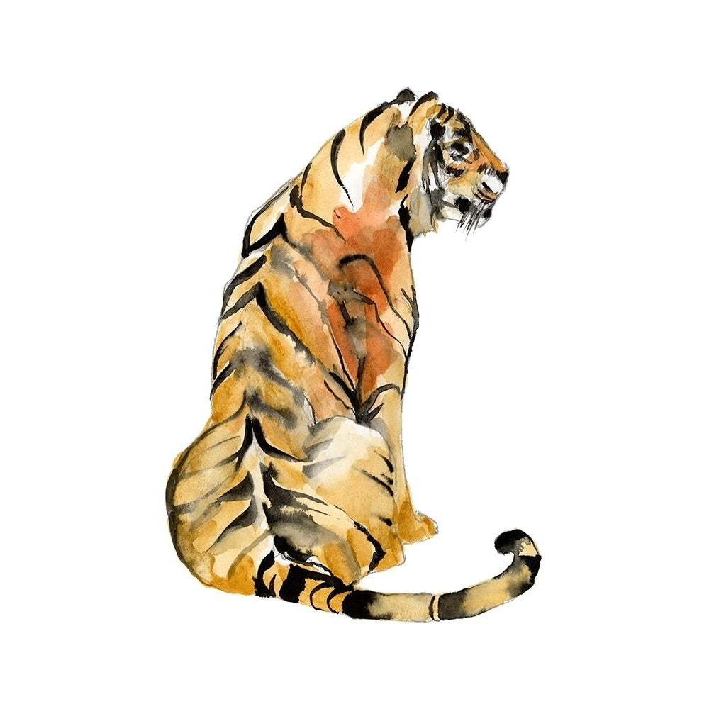 Sitting Tiger I Poster Print - Jennifer Goldberger-VARPDX163738Z Image 1