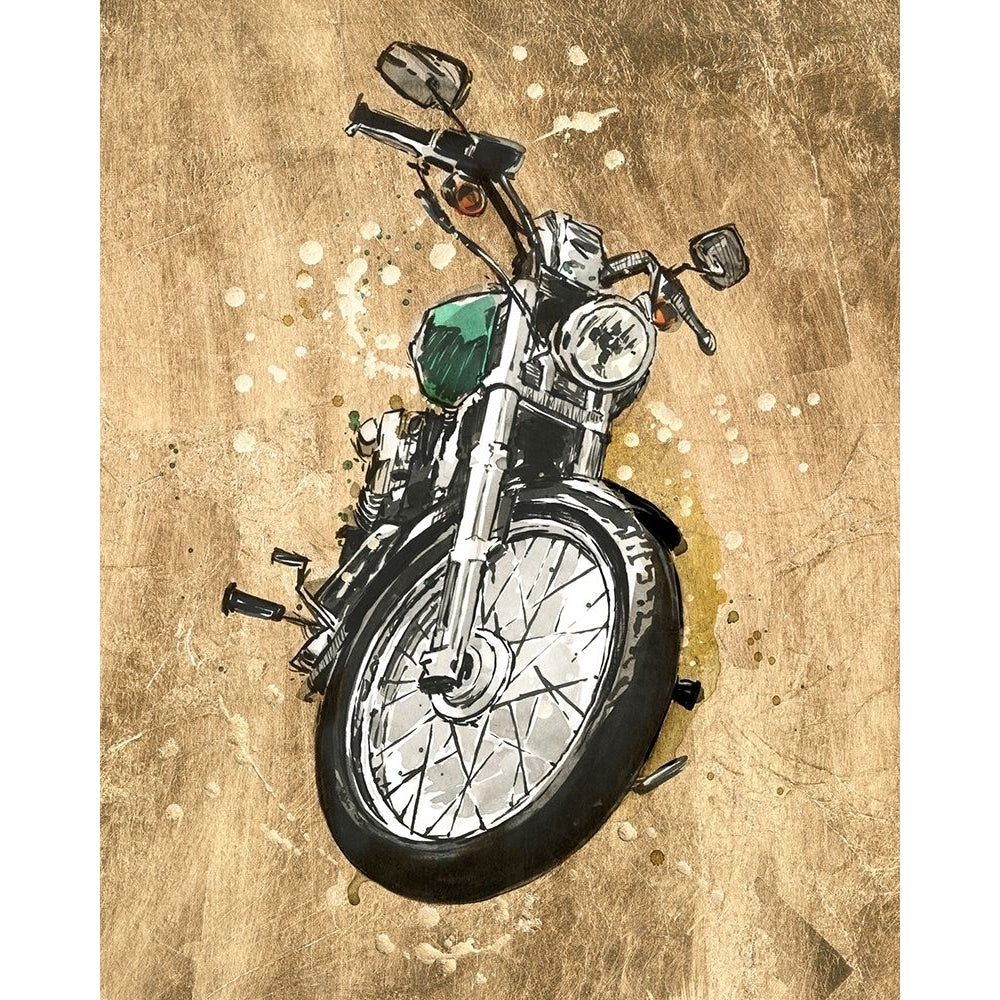 Metallic Rider II Poster Print - Annie Warren-VARPDX163801Z Image 1