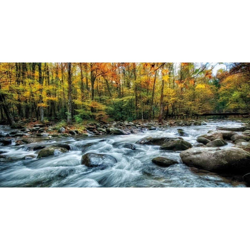 Painted Autumn Poster Print by D. Burt-VARPDX16383 Image 1