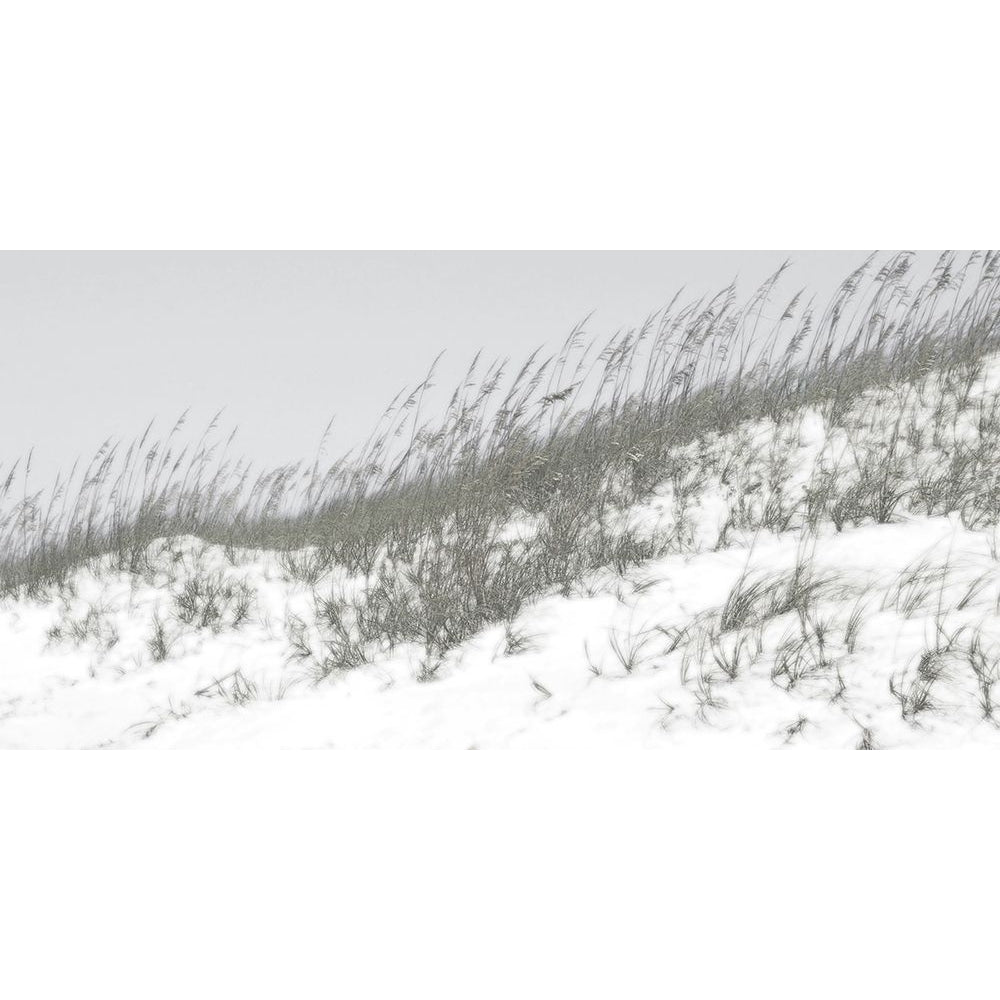 Lush Dunes I Poster Print - Sharon Chandler-VARPDX163855Z Image 1