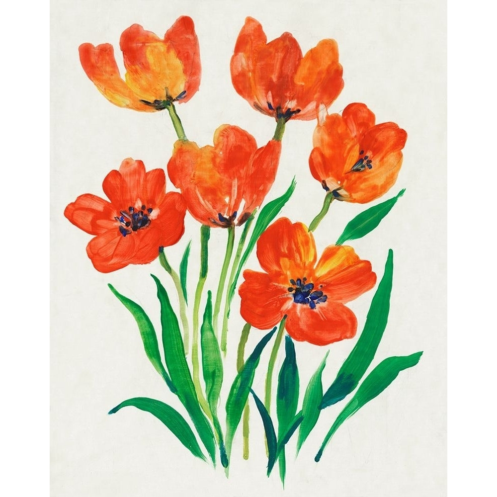 Red Tulips in Bloom II Poster Print - Tim OToole-VARPDX163994Z Image 1