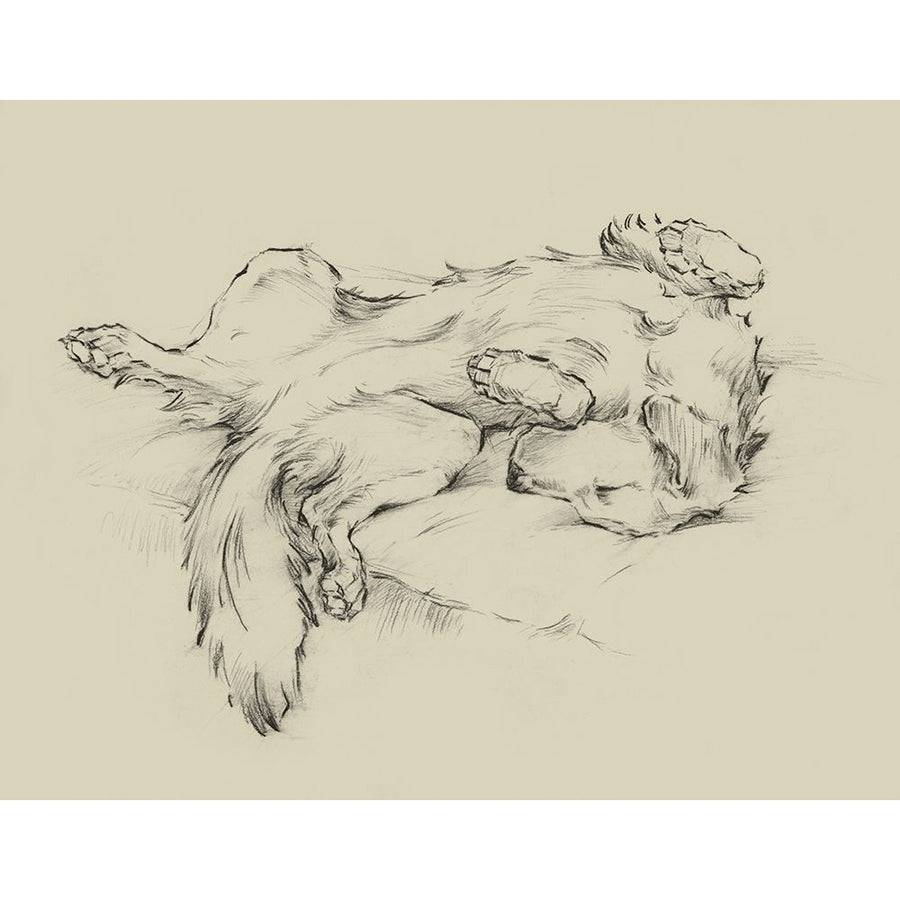 Dog Tired II Poster Print - Ethan Harper-VARPDX163990Z Image 1