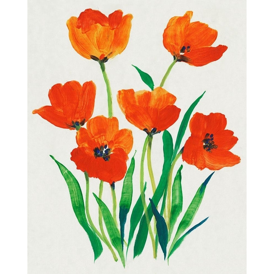 Red Tulips in Bloom I Poster Print - Tim OToole-VARPDX163993Z Image 1