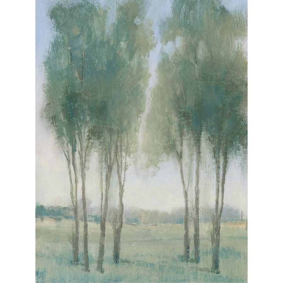 Tree Grove I Poster Print - Tim OToole-VARPDX163997Z Image 1