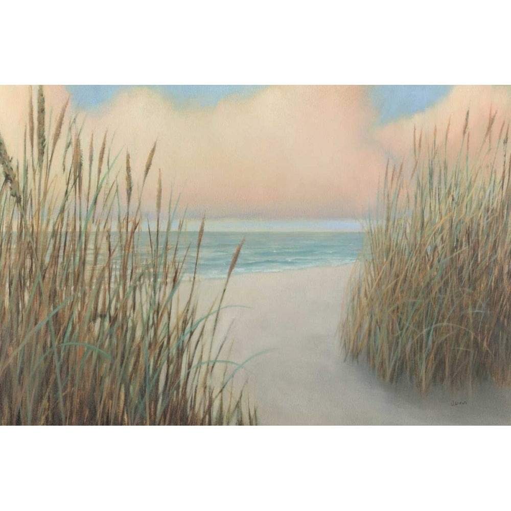 Beach Trail I Poster Print by James Wiens-VARPDX16424 Image 1