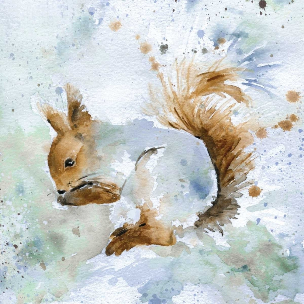 Squirrel Poster Print by Carol Robinson-VARPDX16432 Image 2