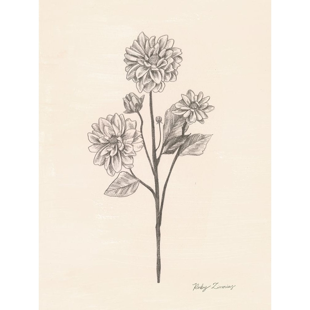 Garden Zinnias II Poster Print - Grace Popp-VARPDX164371D Image 1