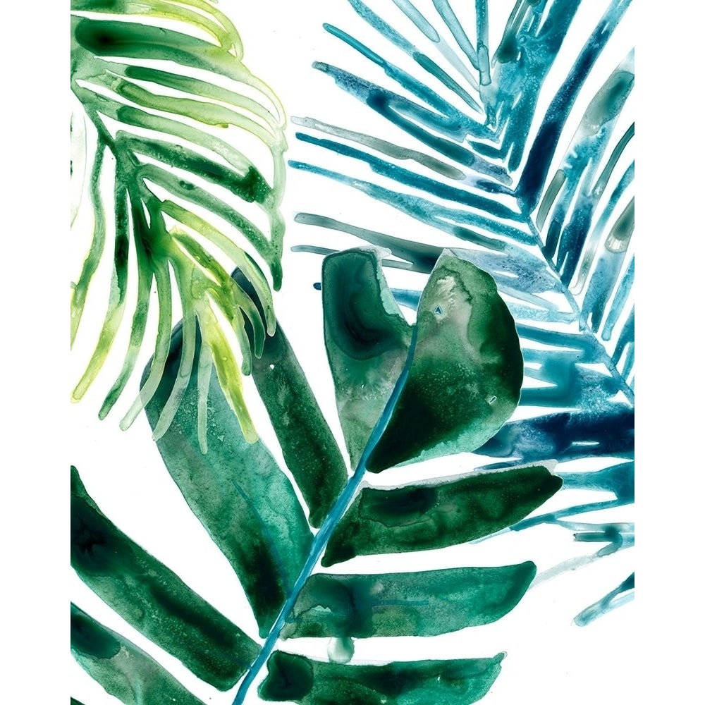 Tropical Leaf Medley I Poster Print - June Erica Vess-VARPDX164485Z Image 1