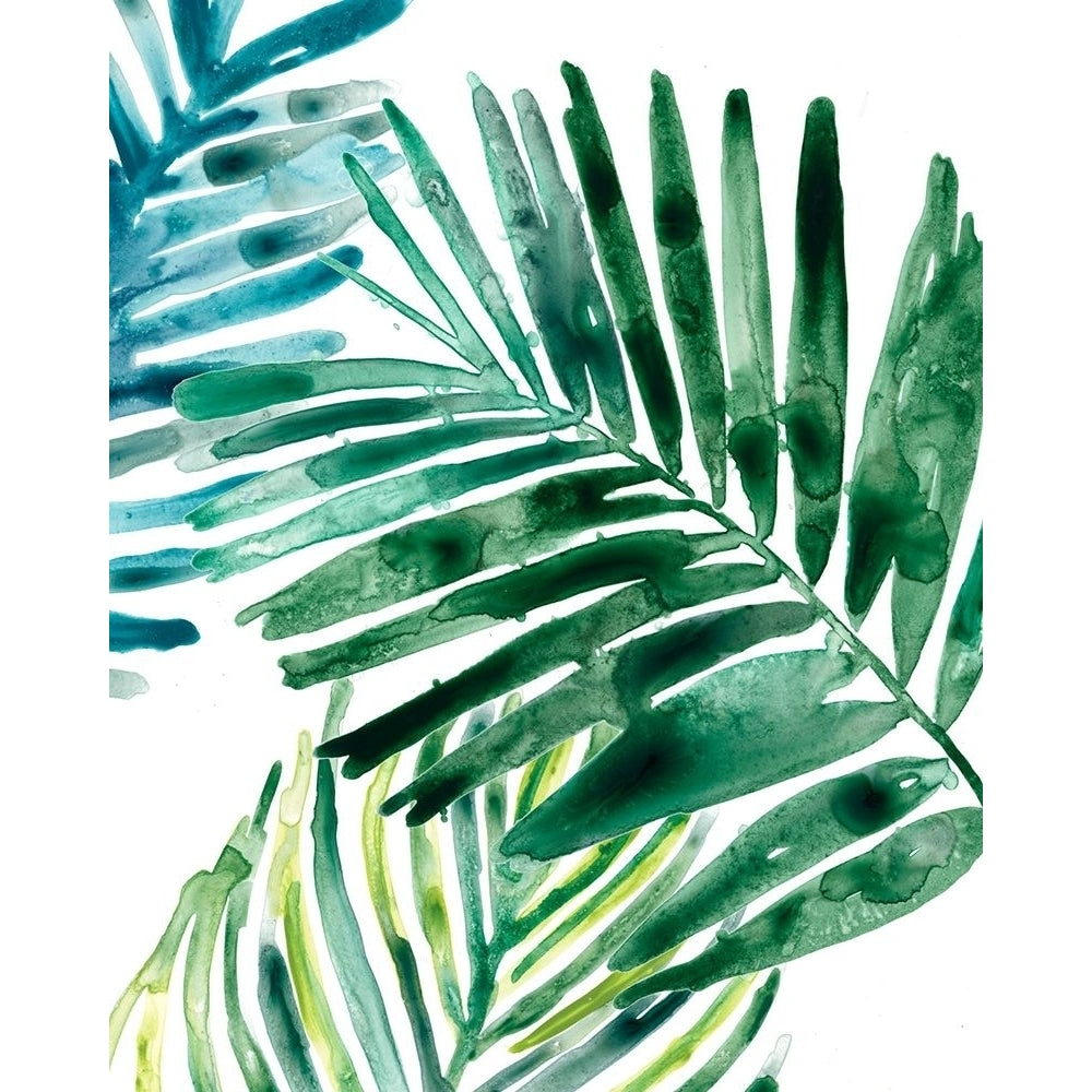 Tropical Leaf Medley II Poster Print - June Erica Vess-VARPDX164486Z Image 1