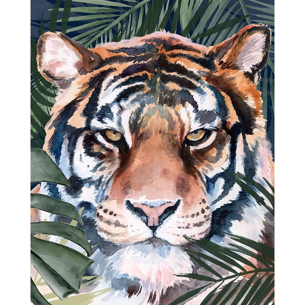 Jungle Cat I Poster Print - Jennifer Paxton Parker-VARPDX164728Z Image 1