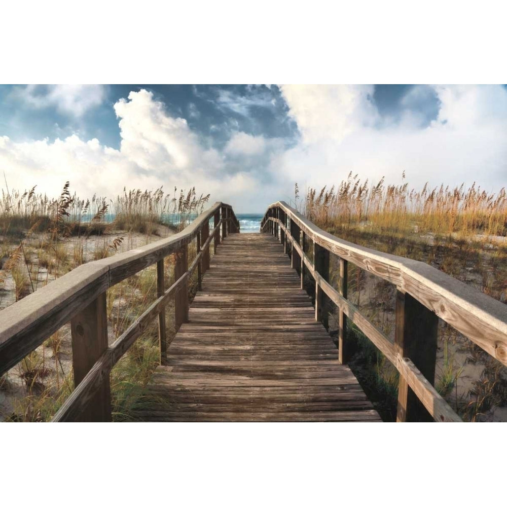 Path To Paradise Poster Print by Michael Cahill-VARPDX16496 Image 1