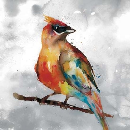 Cardinal Poster Print by Stephanie Fontaine-VARPDX16499 Image 1