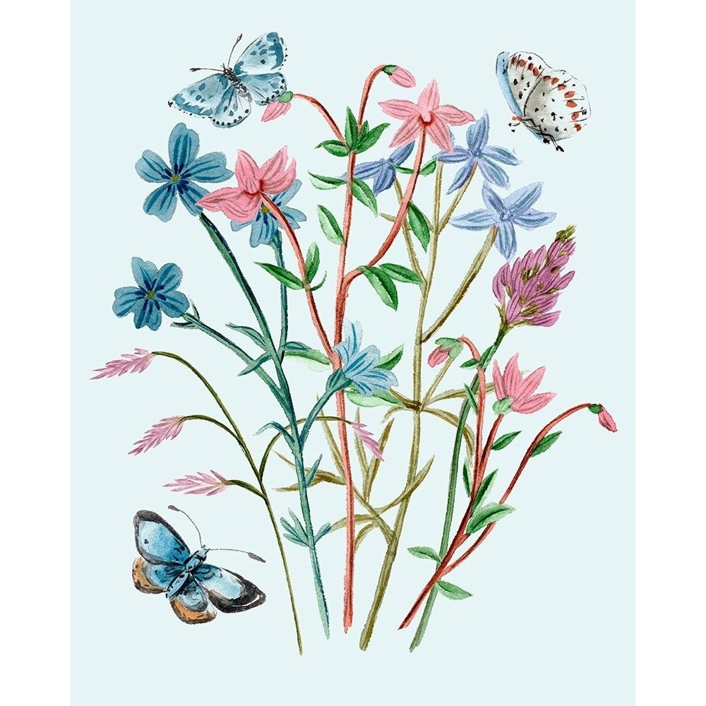 Wildflowers Arrangements III Poster Print - Melissa Wang-VARPDX165306Z Image 1