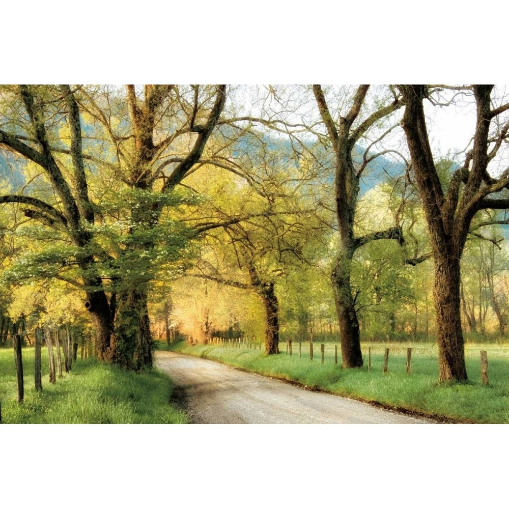 Warm Morning Light Poster Print by D. Burt-VARPDX16530 Image 1