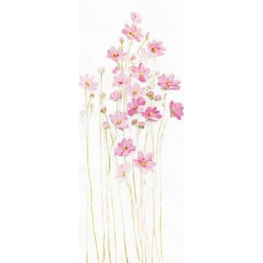 Pretty in Pink I Poster Print by Sally Swatland-VARPDX16539 Image 1