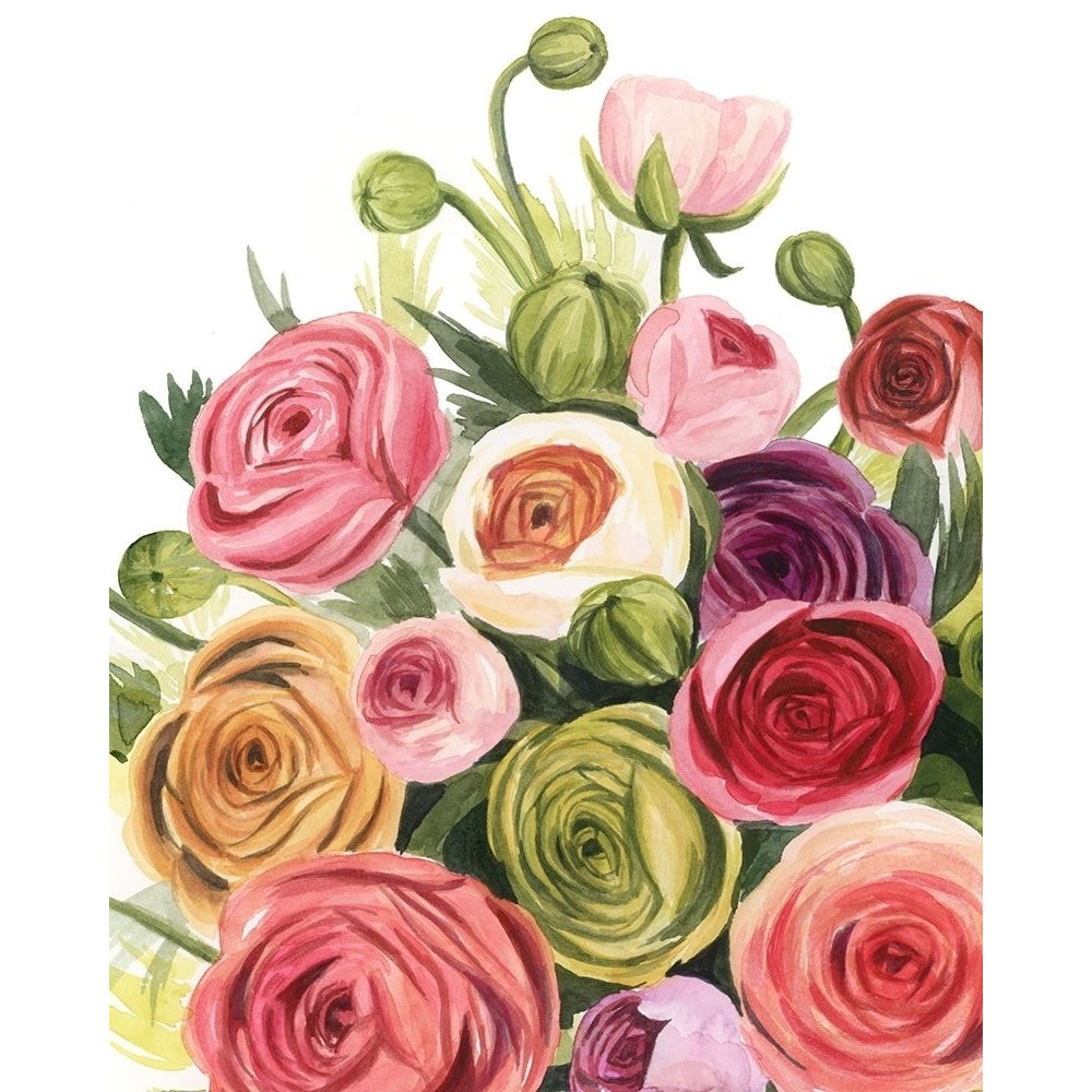 Ranunculus Study I Poster Print - Grace Popp-VARPDX165383Z Image 1