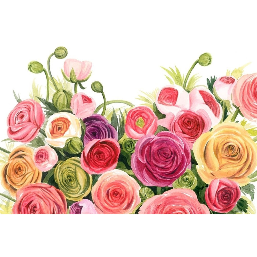 Ranunculus Panorama Poster Print - Grace Popp-VARPDX165385Z Image 1