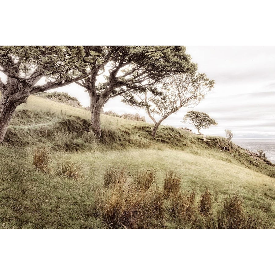 Irish Hillside Poster Print - Andy Amos-VARPDX16548A Image 1