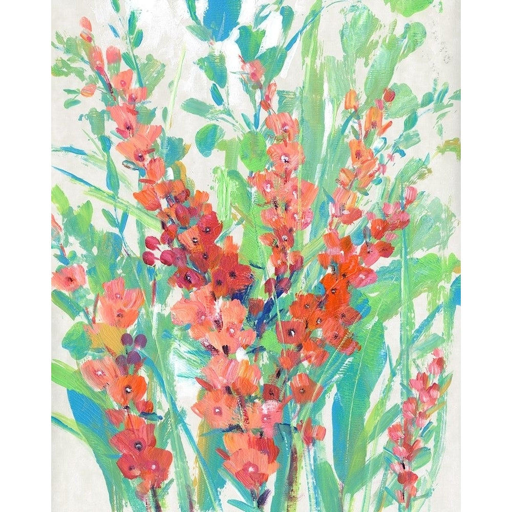 Tropical Summer Blooms II Poster Print - Tim OToole-VARPDX165492FN Image 1