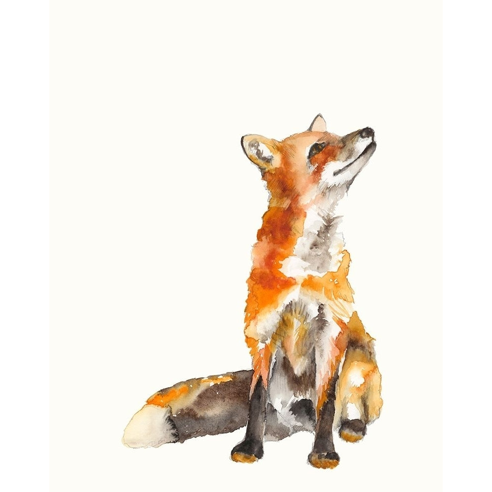 Sly Fox I Poster Print - Jennifer Goldberger-VARPDX165537Z Image 1