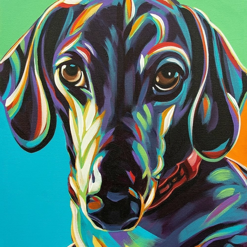 Painted Dachshund I Poster Print - Carolee Vitaletti-VARPDX165651D Image 1