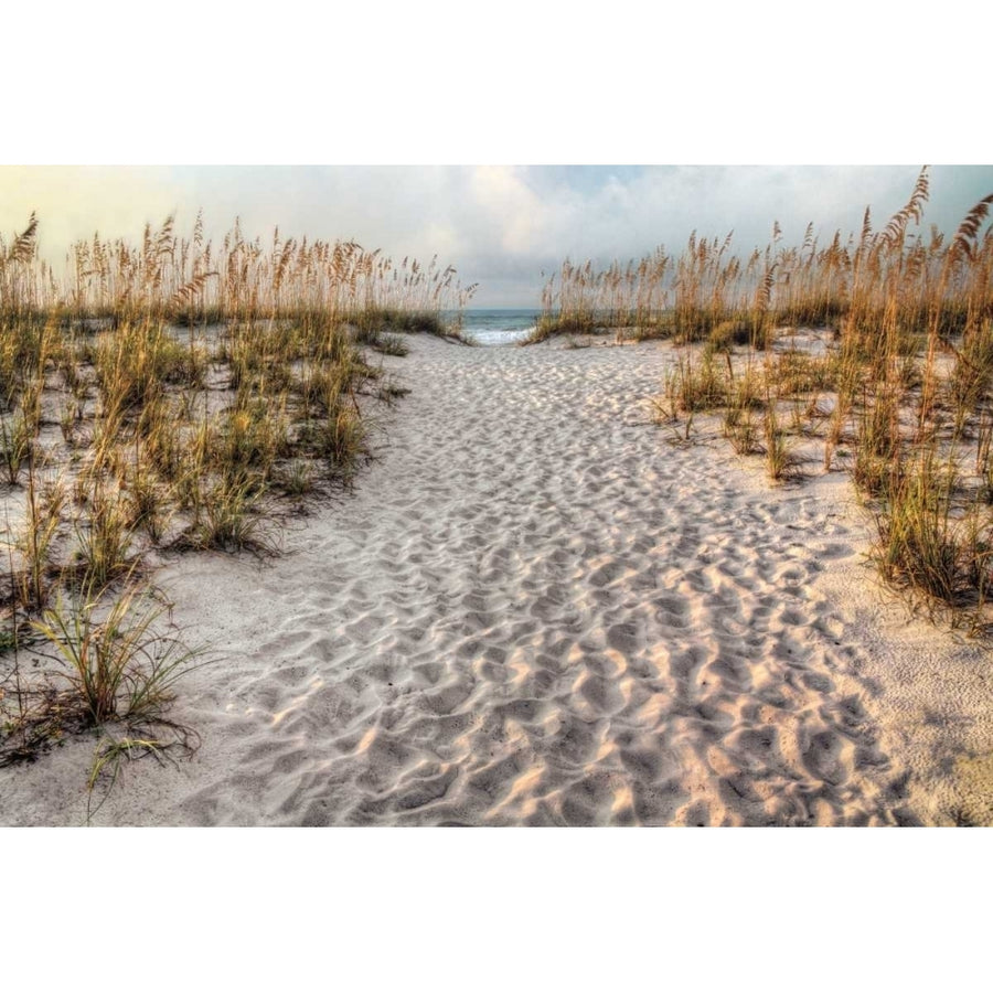 Path to the Beach Poster Print by Michael Cahill-VARPDX16603 Image 1