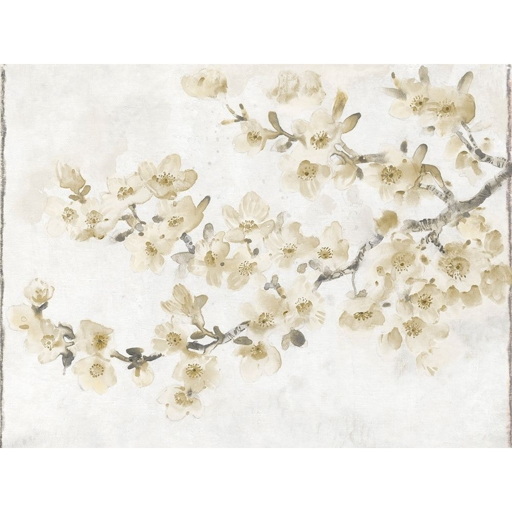 Neutral Cherry Blossom Composition I Poster Print - Tim OToole-VARPDX166698Z Image 1