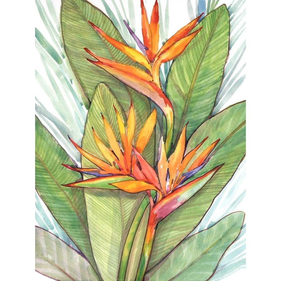 Tropical Botanical Paradise I Poster Print - Tim OToole-VARPDX166879Z Image 1