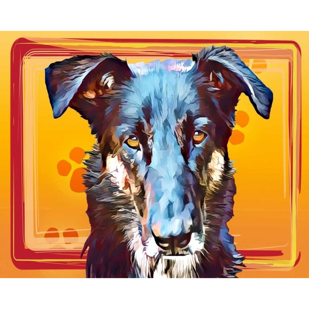 Pop Dog I Poster Print - Kim Curinga-VARPDX166932Z Image 1