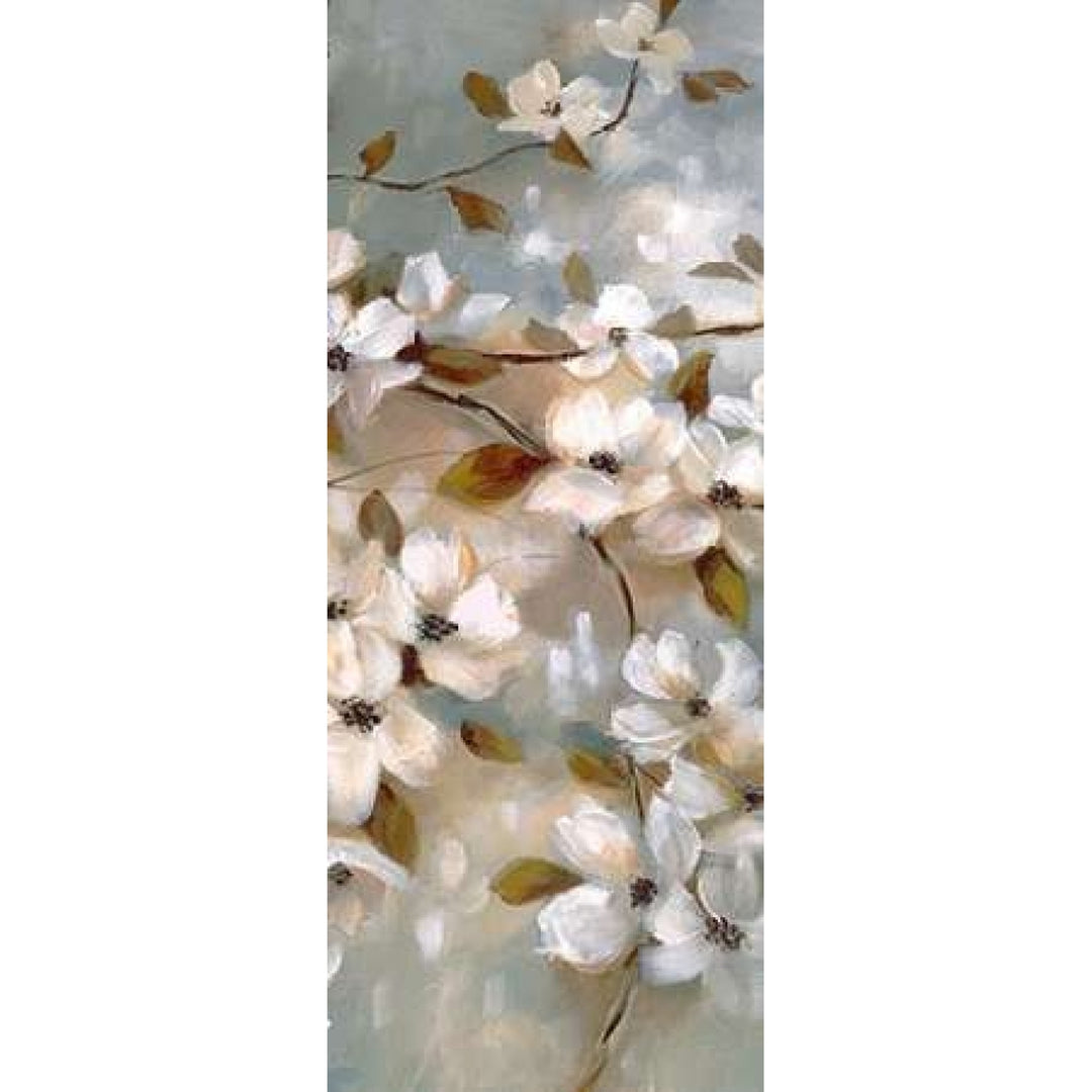 Blossoms of Spring II Poster Print by Nan-VARPDX16709 Image 1